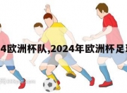 2024欧洲杯队,2024年欧洲杯足球场